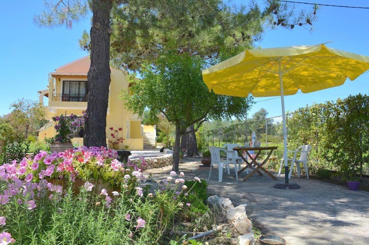 Alexandra Studio 10 Λευκίμμη Εξωτερικό φωτογραφία