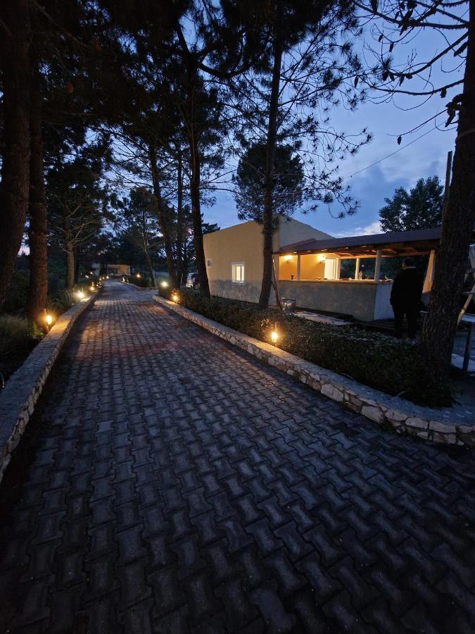 Alexandra Studio 10 Λευκίμμη Εξωτερικό φωτογραφία